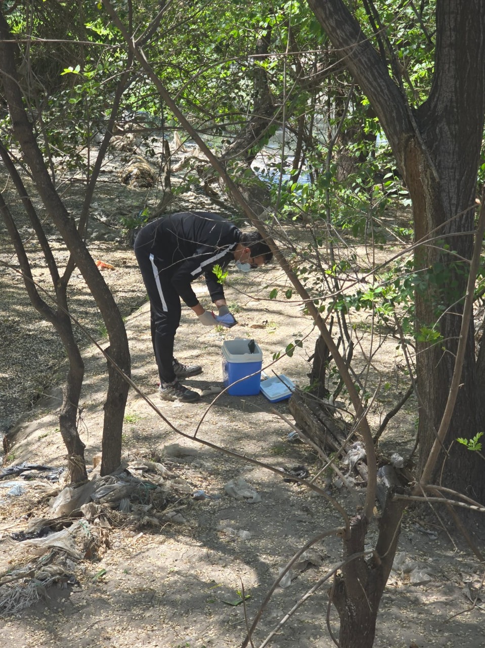 Interior de oficina con jardín vertical y diseño biofílico